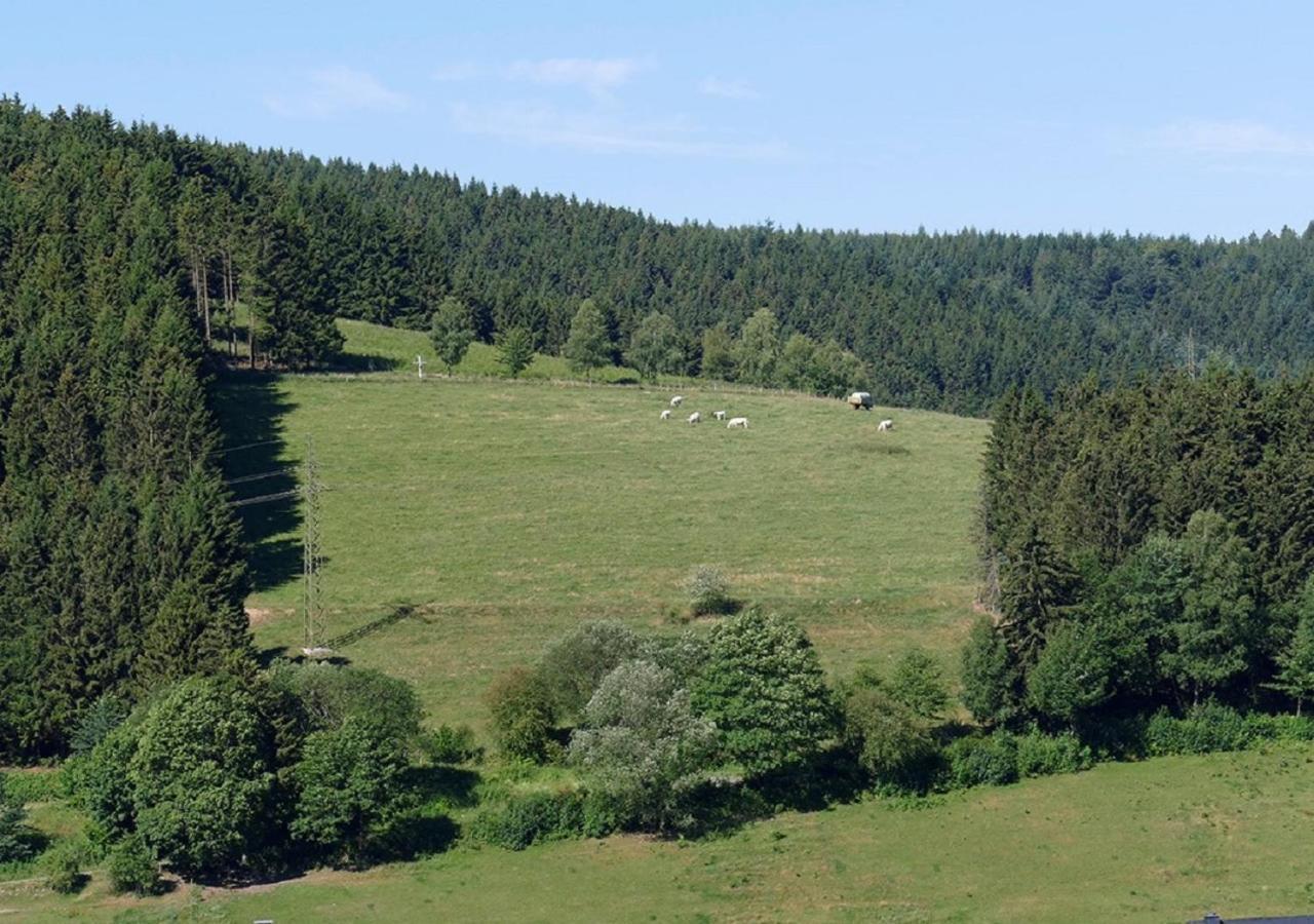 Hotel Suedhang Niedersfeld Kültér fotó